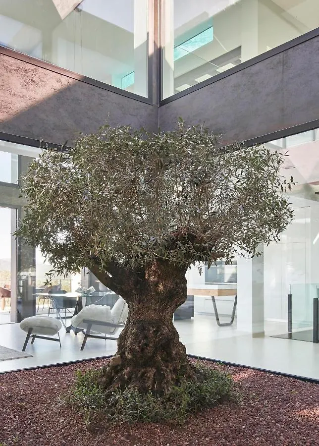 Casa vacanze Villa Mont Blau Búger Spagna